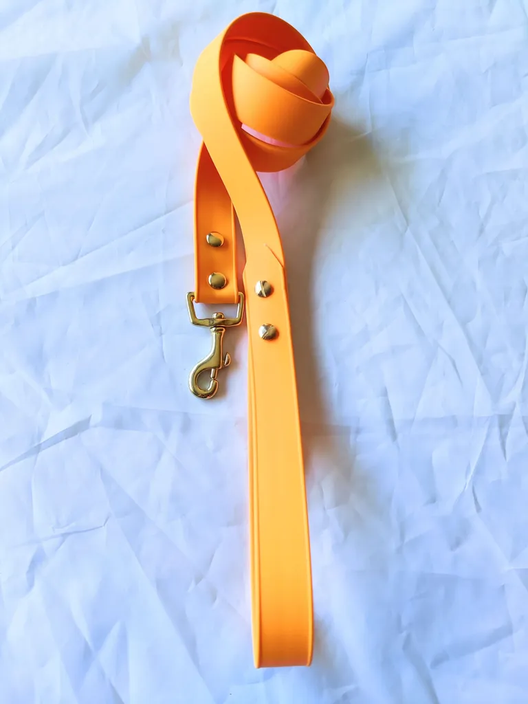 New handmade biothane dog leash photo 1