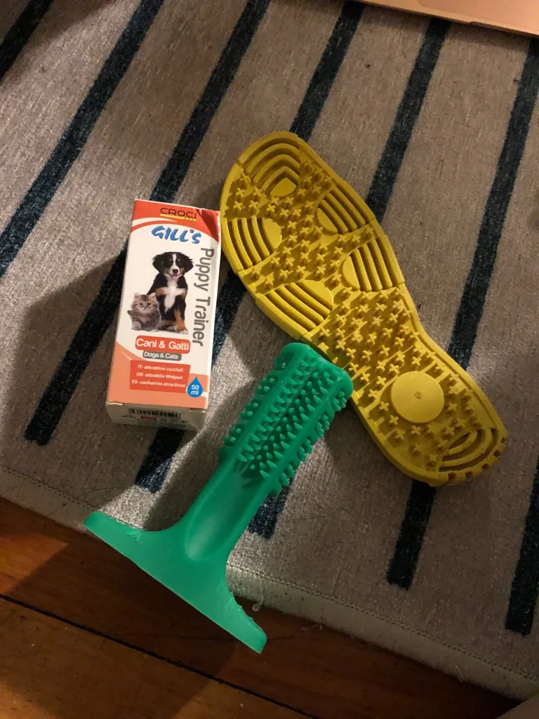 Dog Accessories photo 1