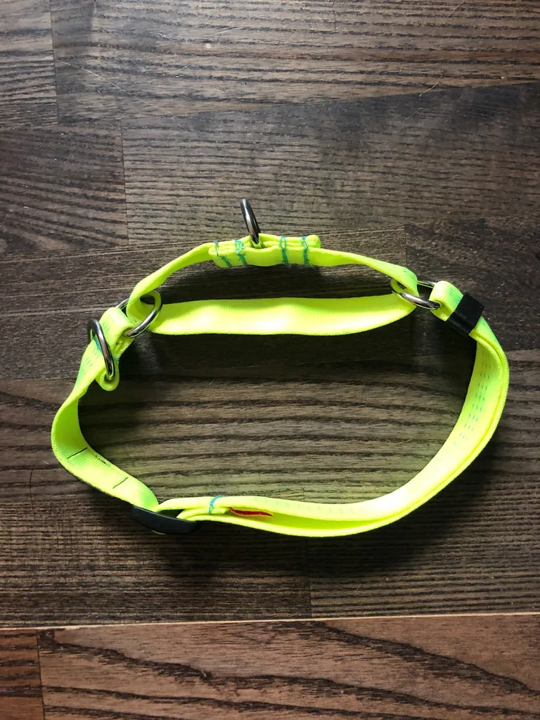 High Vis Dog Collar photo 1