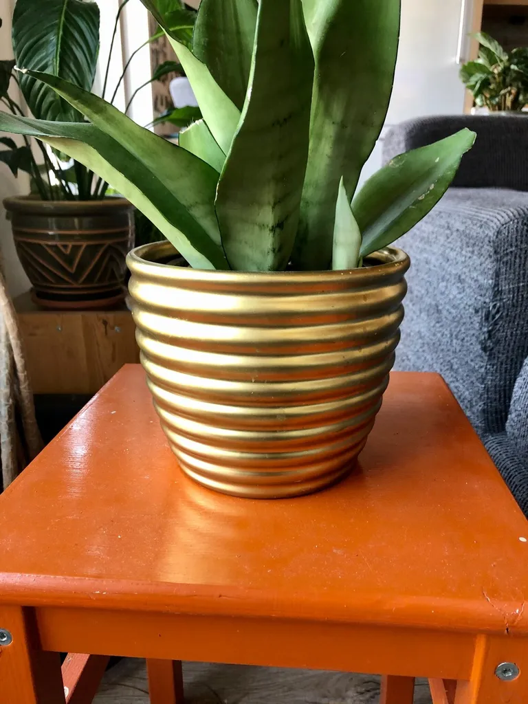 Gold Plant Pot photo 1