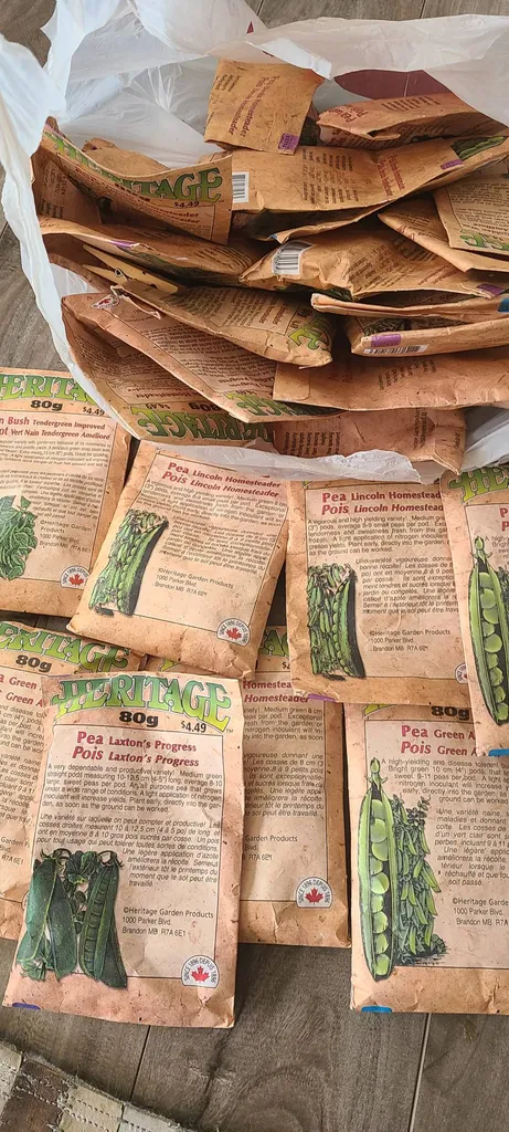 Seeds - Various Peas & Beans photo 1