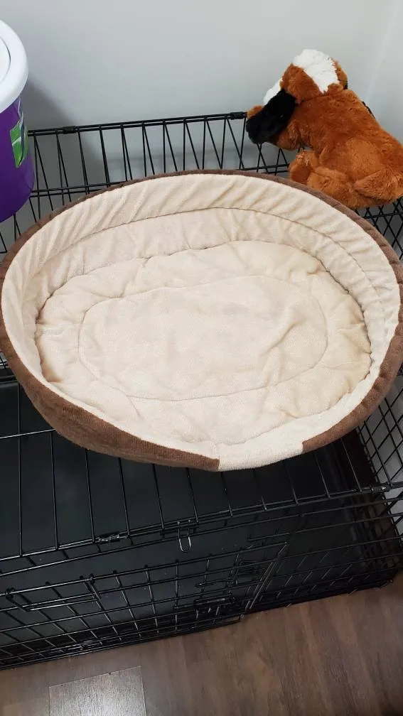 Dog Bed! photo 1