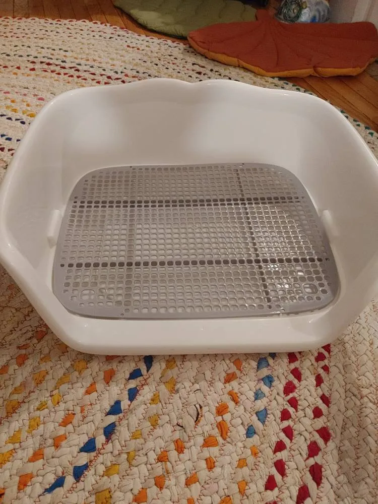 Puppy Toilet. photo 1