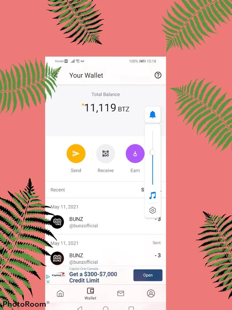 Bunz Looking To Spend My BTZ photo 1