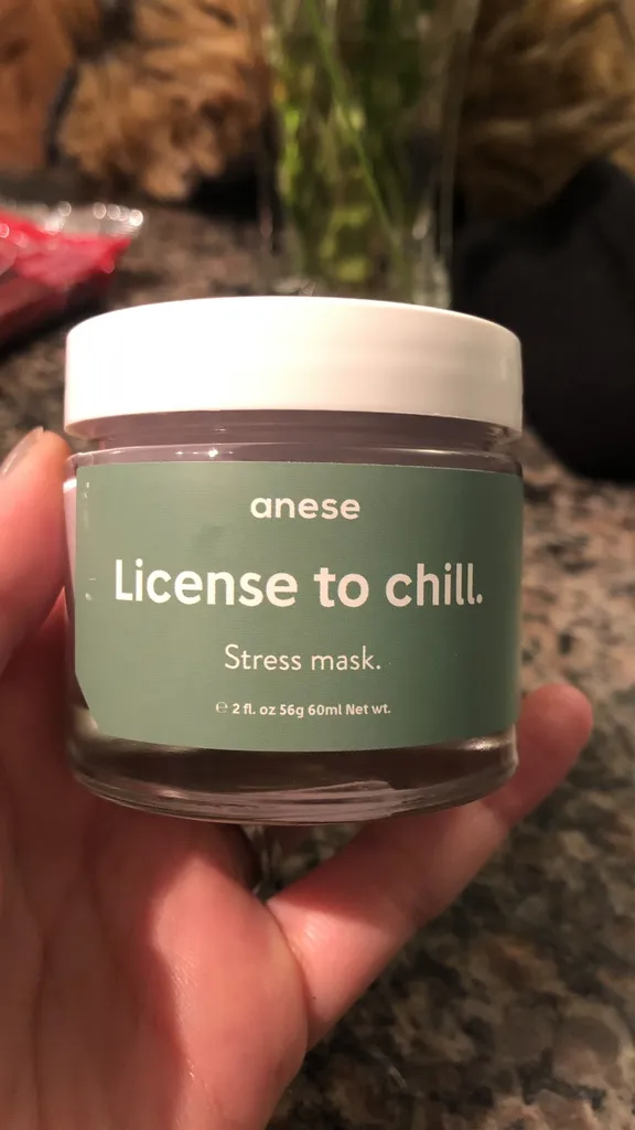 Anese ‘License to Chill’ face mask photo 1