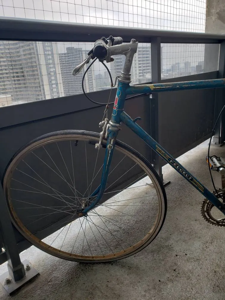 1970's Record Dr Monde Vintage Peugeot Fixie photo 1