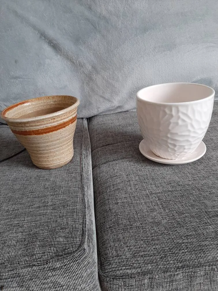 Two Plant Pots photo 1