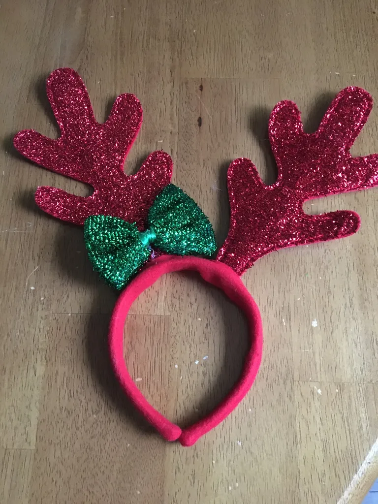 Rain deer Antlers photo 1