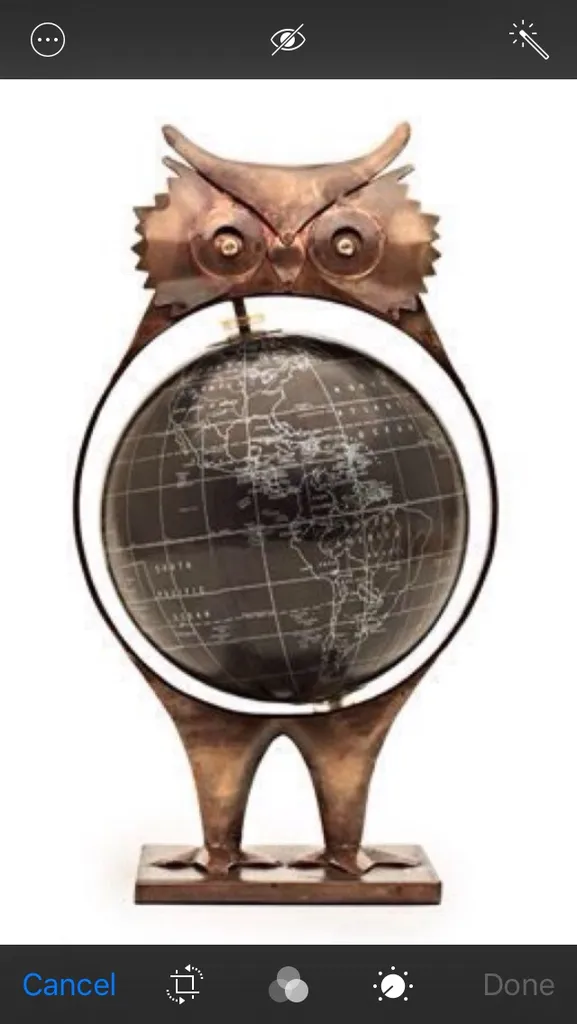Owl + Globe = OwlGlobe photo 1