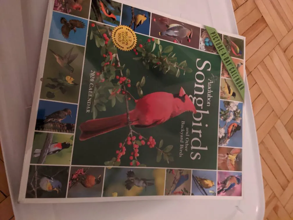 FREE 
Learn Yer Birds! photo 1