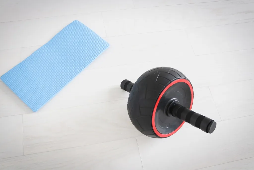 BNIB: Ab Roller photo 1