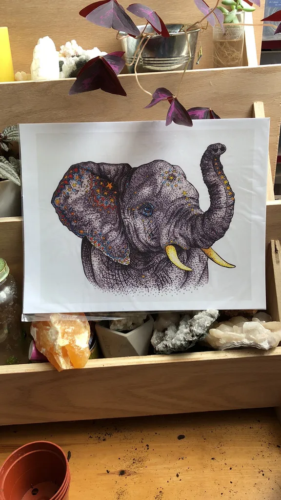 11”x14” Print Of “Star Reacher” photo 1