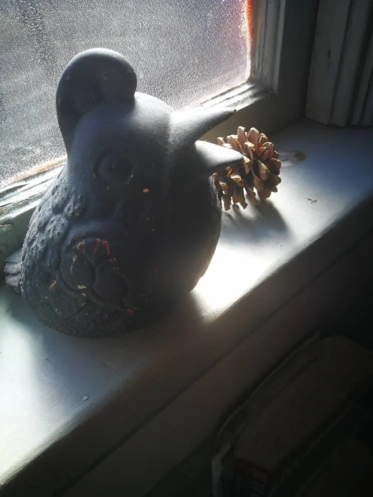 Lil Bird Knicknack photo 1