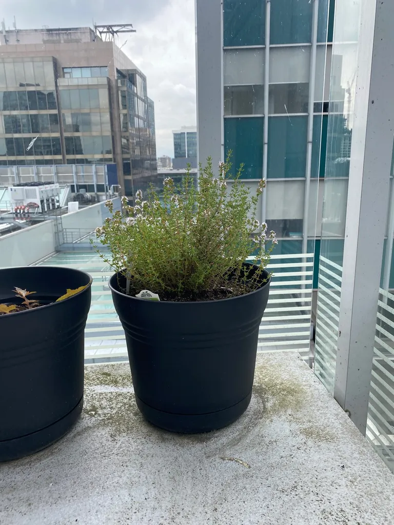 Free Garden Things photo 1