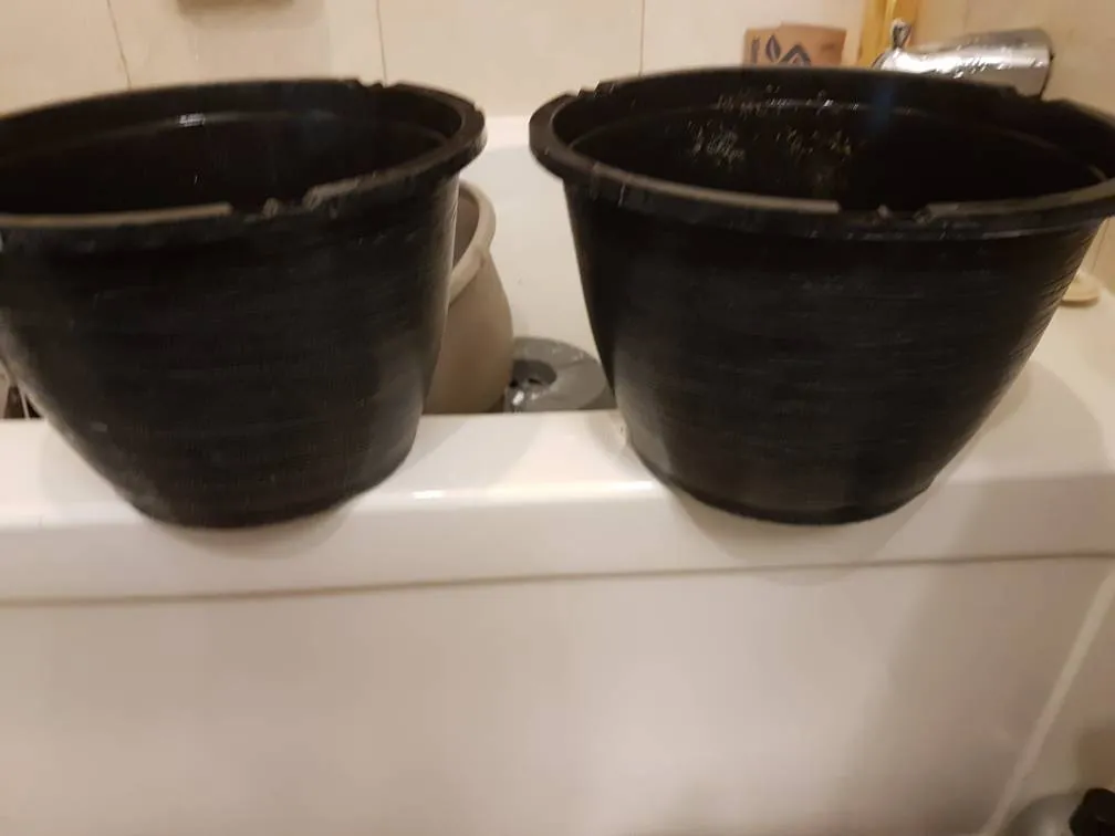Black Planters photo 1