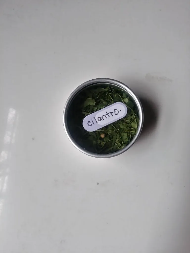 Dried Cilantro photo 1