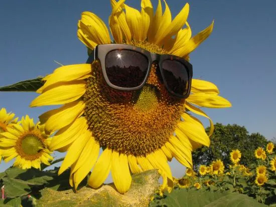 Books I’m ISO photo 1