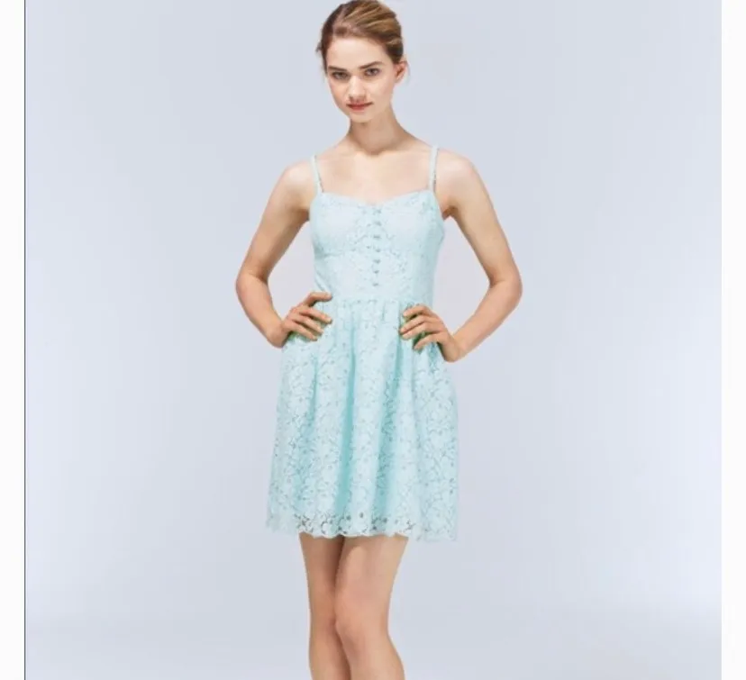 Aritzia Talula Lace Dress Sz 4 photo 1