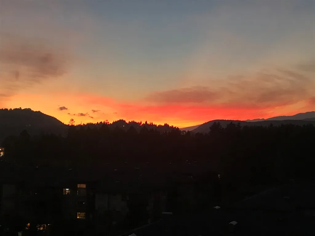 Tri Cities Trading Group! photo 1