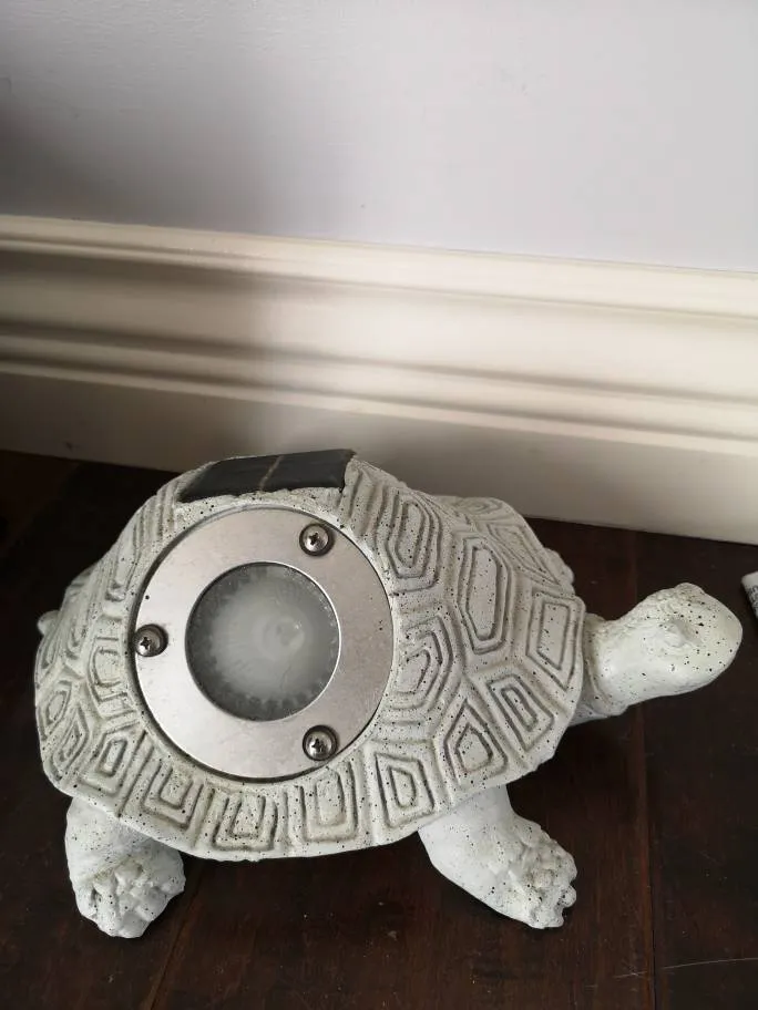 Garden Turtle Decor photo 1