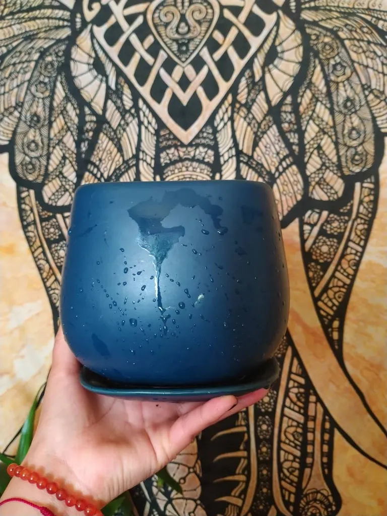 Ceramic Pot | Re-Bunz photo 1