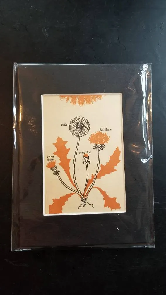 BNIP Print From Elephant In The Attic photo 1