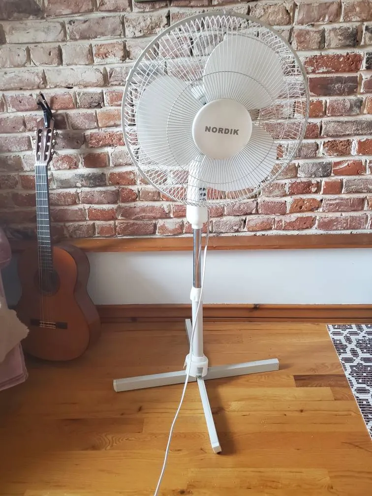 Functional Fan photo 1