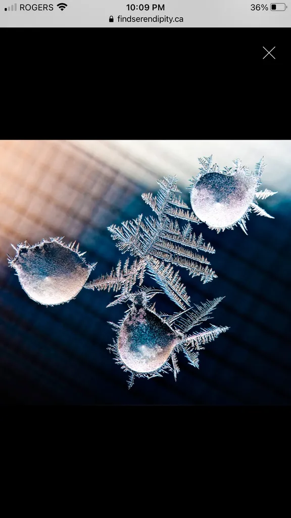 Framed Print photo 1