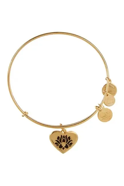 ALEX AND ANI BANGLE photo 1