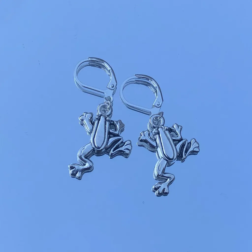 Frog Earrings 🐸 photo 1