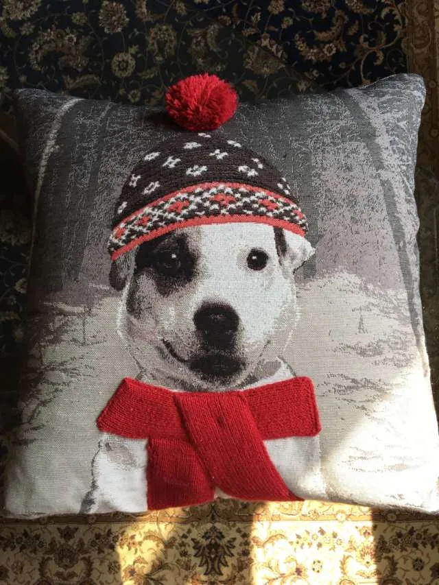 Dog Throw Pillow photo 1