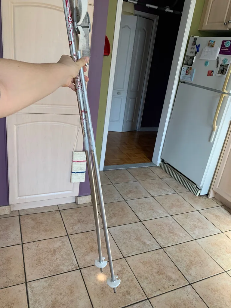 Ski Poles photo 1