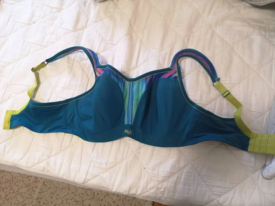 BNWOT Panache Sports Bra 34E photo 1