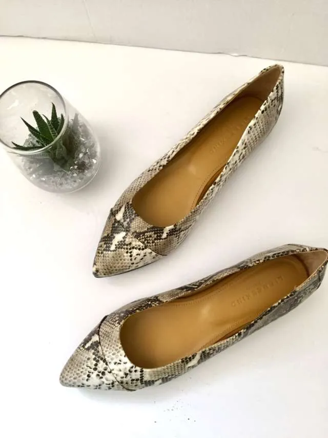 Never Worn Liebeskind Ballerinas photo 1