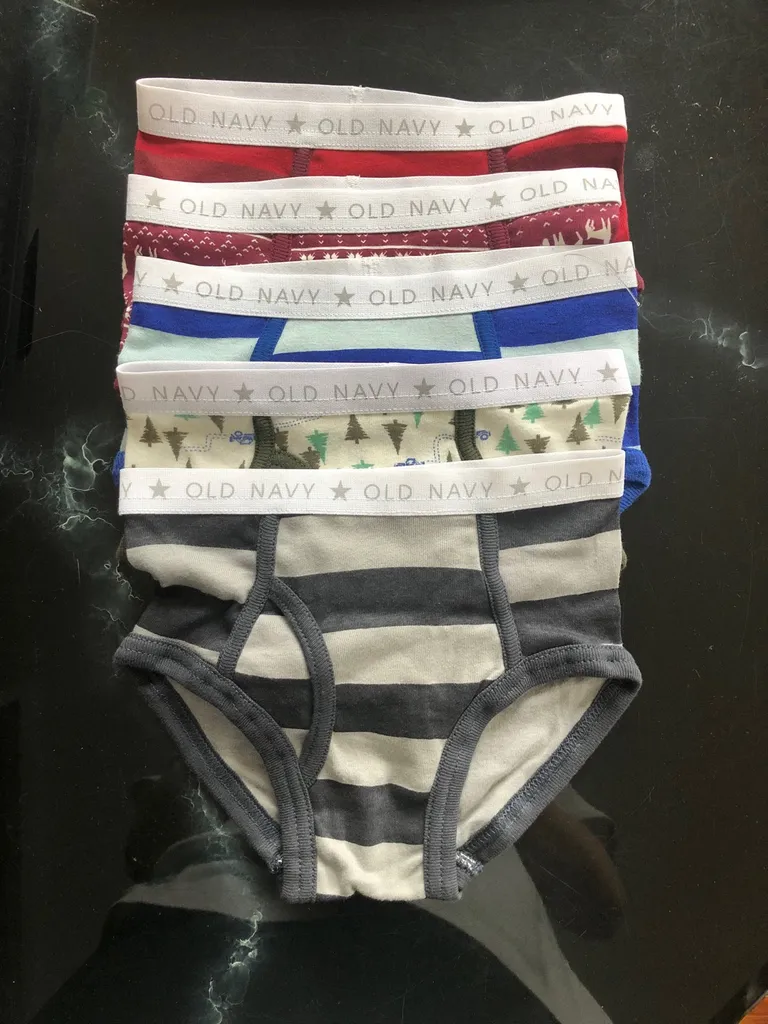 Brand New Boys Briefs 4T-5T photo 1