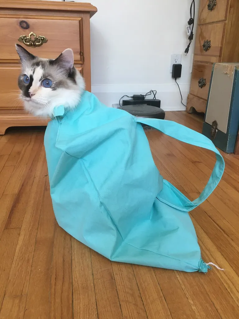 BNIP: Cat Carrier / Grooming Sack photo 1