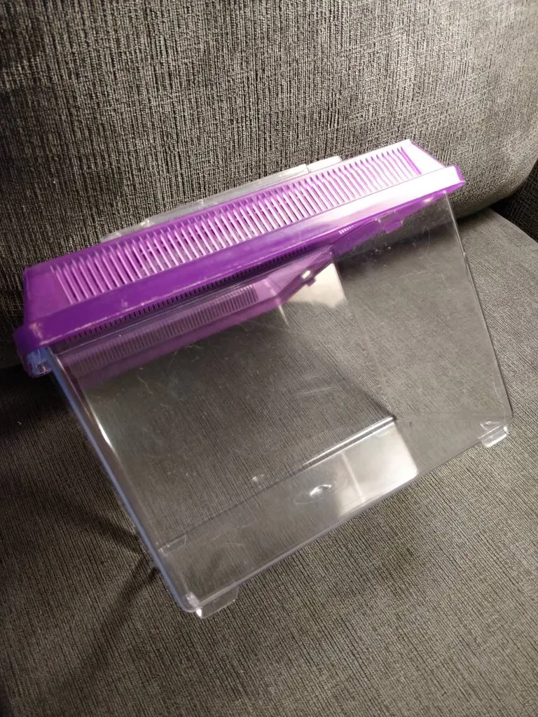 Terrarium / Faunarium photo 1