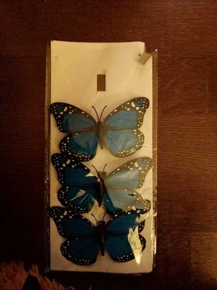 Free -Butterfly Clips photo 1