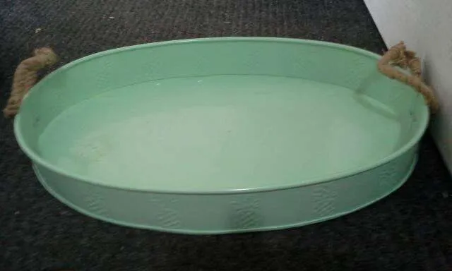 Pineapple Tray photo 1