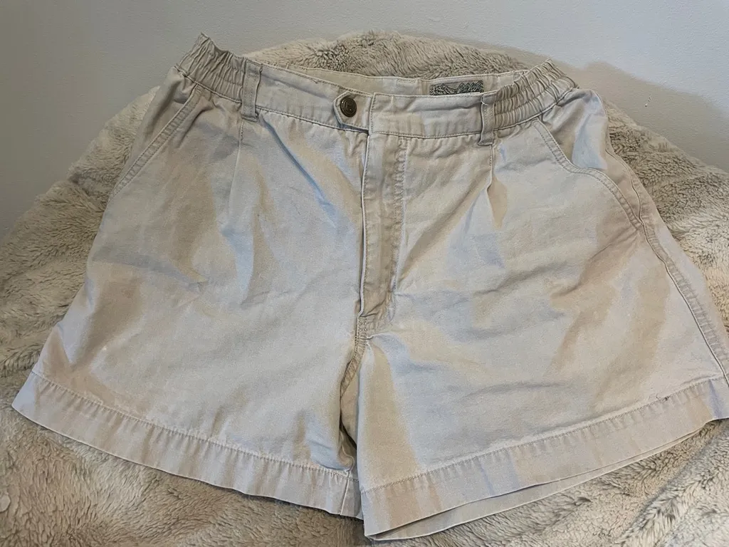 High Waisted Shorts photo 1