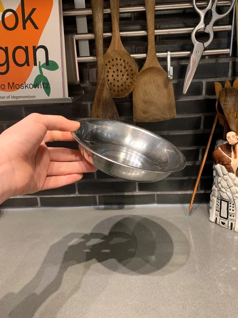 Metal Low Lip Bowl photo 1