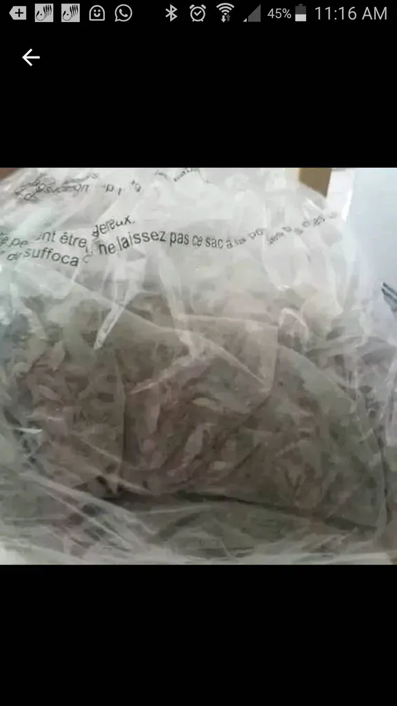 Organic Senna  Leaf photo 1