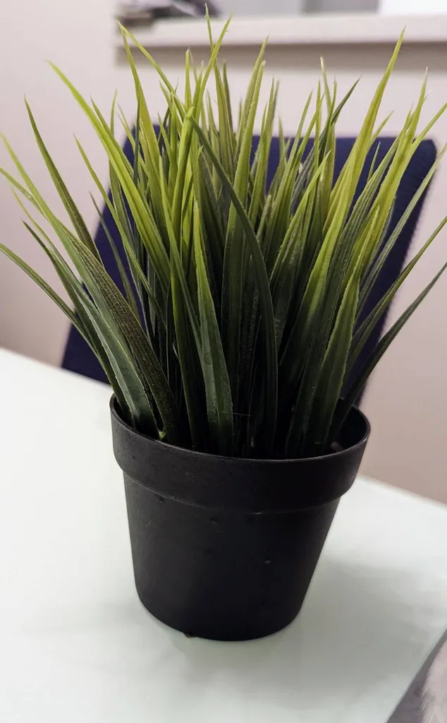 Small Artificial Plant photo 1