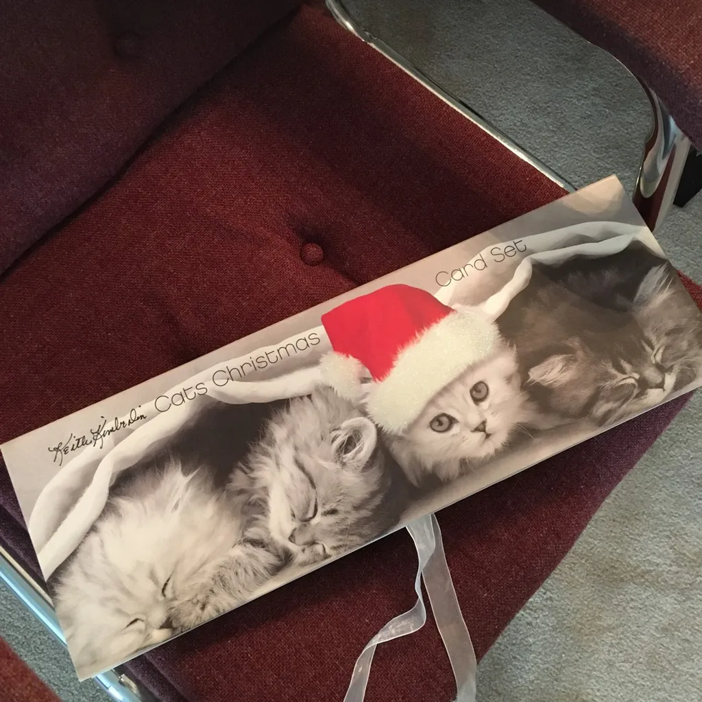 Kitten Christmas Cards photo 1