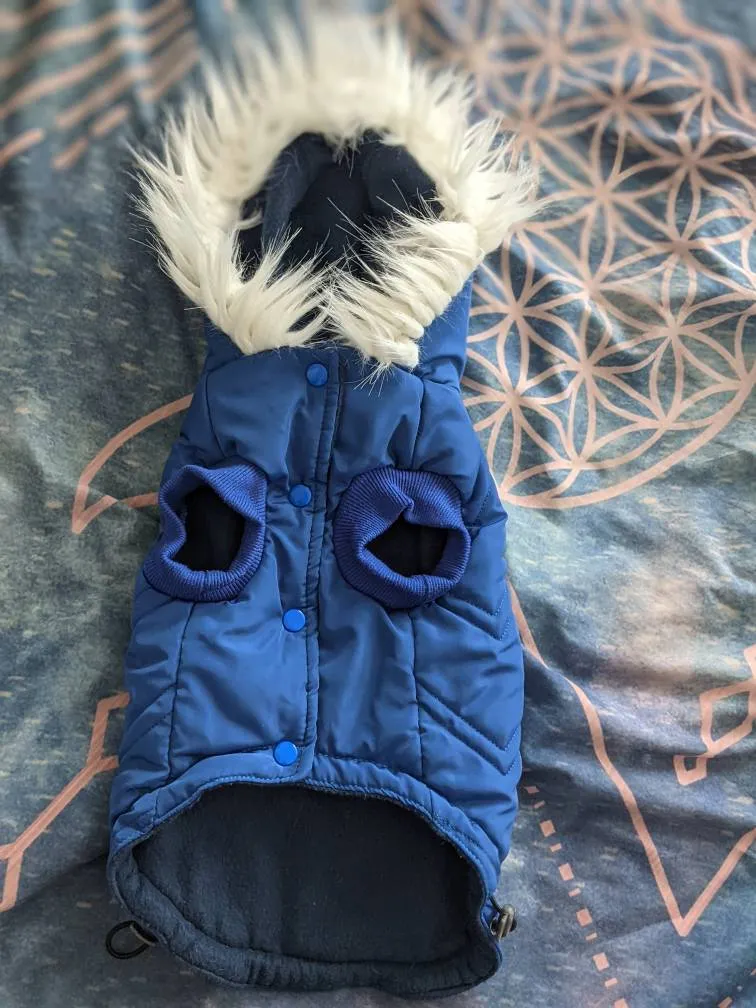 Small Dog Parka photo 1