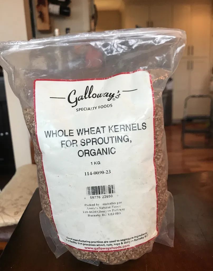 Organic Whole Wheat Kernels For Sprouting photo 1