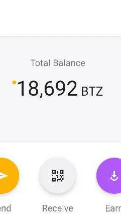 Do you accept BTZ? 💰 photo 1