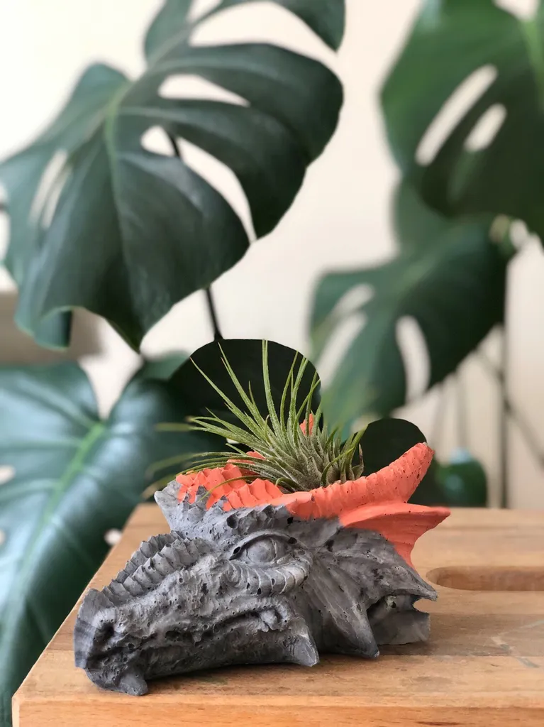 DRAGON Planters GOT Fans This Is For You!! photo 1