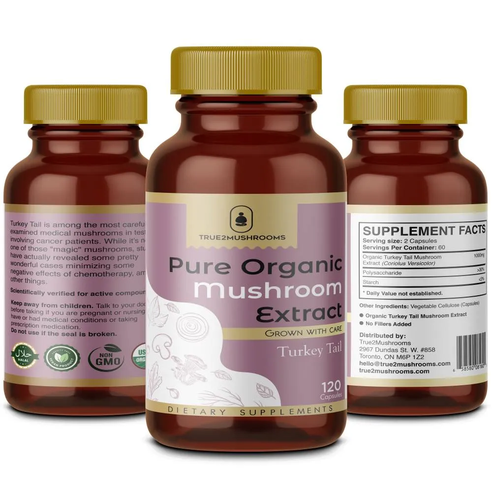 Turkey Tail Mushroom Extract photo 1