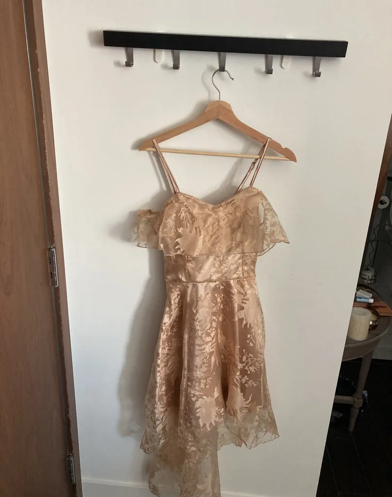 Gold Semi Formal Dress photo 1